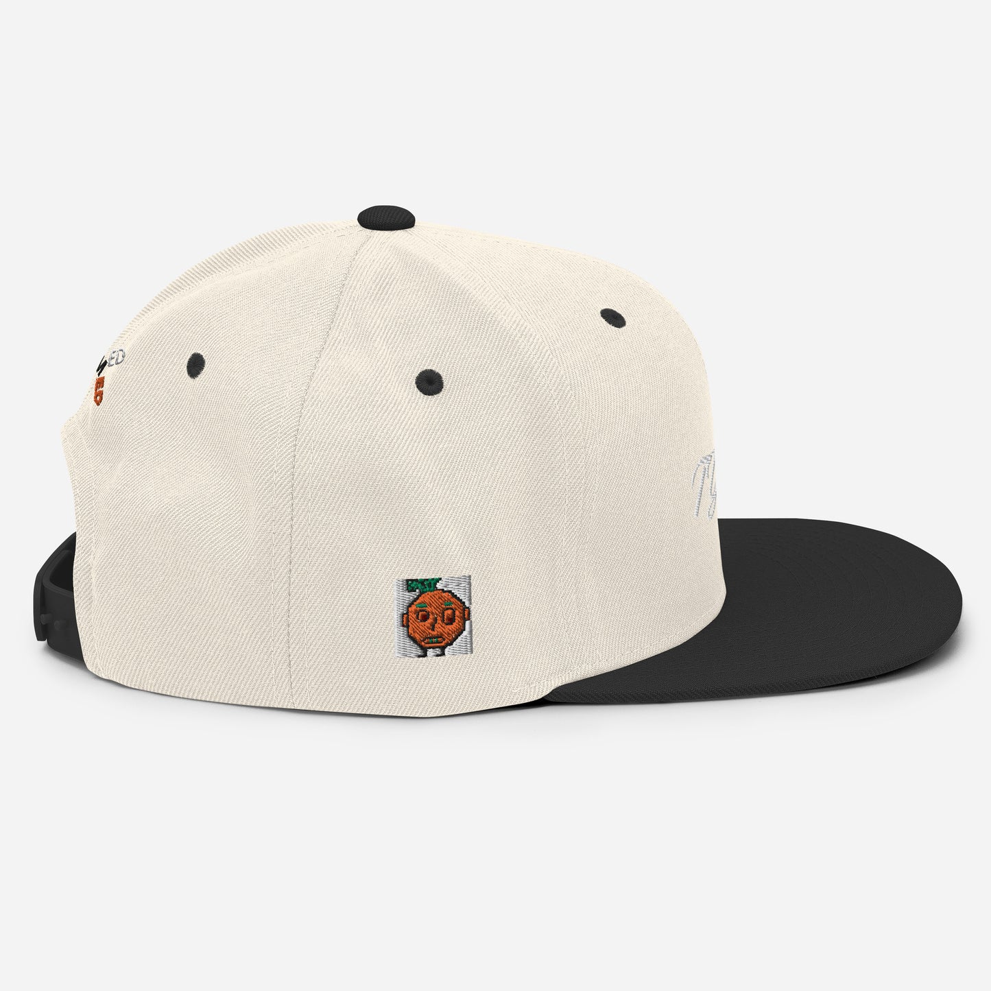 Snapback Hat